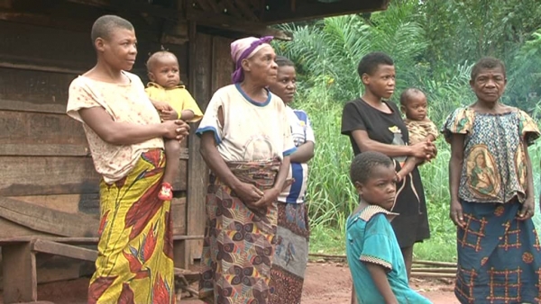 Dossier/ L&rsquo;impact de la d&eacute;forestation sur les peuples autochtones du Congo, Cameroun et Centrafrique