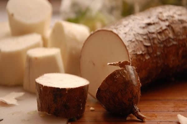 C&ocirc;te d'ivoire : Un forum sur la valorisation du manioc ouvert &agrave; Abidjan