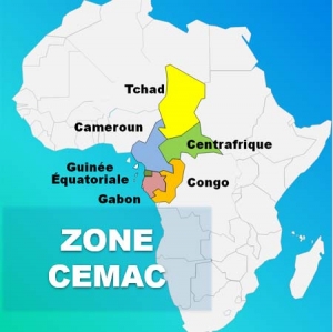 Covid-19 : la BAD mobilise plus de 13 millions de dollars pour soutenir la zone (CEMAC) et la R&eacute;publique d&eacute;mocratique du Congo