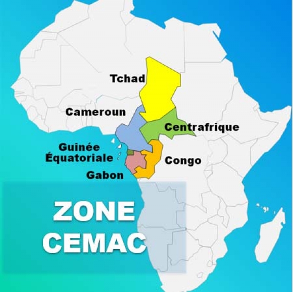 Covid-19 : la BAD mobilise plus de 13 millions de dollars pour soutenir la zone (CEMAC) et la R&eacute;publique d&eacute;mocratique du Congo