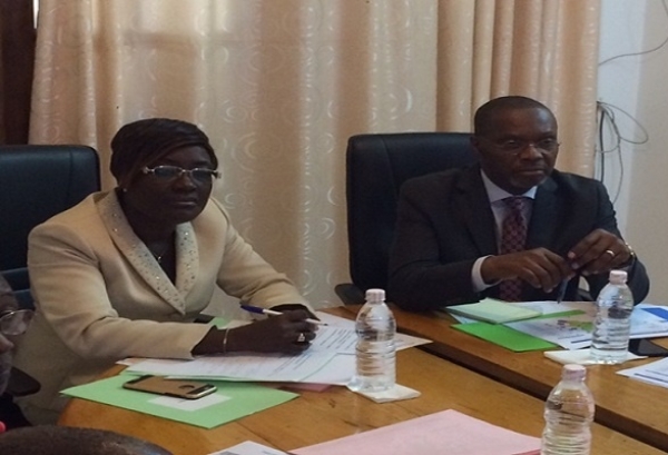 La ministre Mariatou Kon&eacute; lors de la 7&egrave;me r&eacute;union du comit&eacute; de coordination &eacute;largi pour la gestion du dossier du Mont P&eacute;ko 