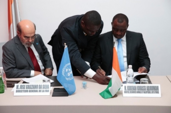 Un accord tripartite d&rsquo;urgence pour &eacute;radiquer la grippe aviaire en C&ocirc;te d&rsquo;Ivoire