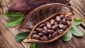 Une mission de Cocoa Board ghan&eacute;en annonc&eacute;e en C&ocirc;te d&rsquo;Ivoire