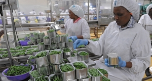 Nigeria : La BAD et ses partenaires mobilisent 520 millions de dollars pour des zones de transformation agro-industrielle sp&eacute;ciales