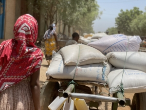 Tigray: Le PAM apporte une aide alimentaire d'urgence &agrave; plus d'un million de personnes