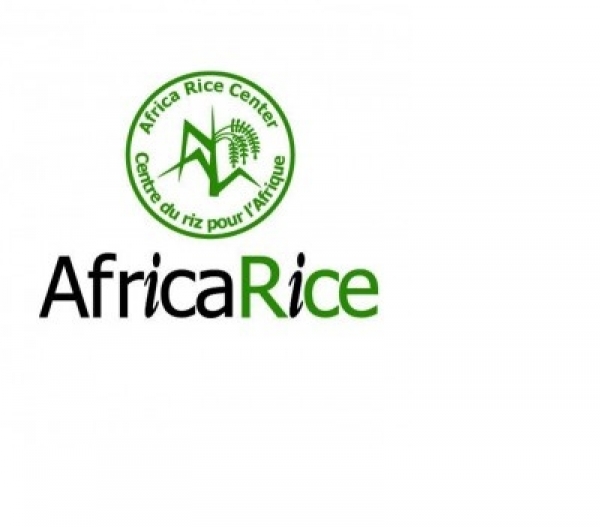 Avis aux entrepreneurs et PME ivoiriens: Africa Rice recherche des fournisseurs et prestataires
