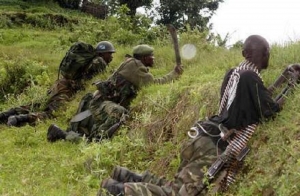 RDC: 46 pygm&eacute;es tu&eacute;s dans une attaque des ADF