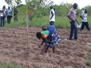 Une jeune paysanne sur sa parcelle agroforesti&egrave;re de Zonguitakaha - S&eacute;noufo