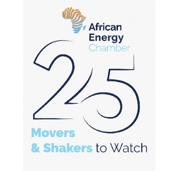 La Chambre africaine de l'&eacute;nergie publie sa liste du top 25 des acteurs les plus influents de l&rsquo;industrie en 2021