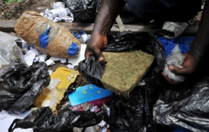 C&ocirc;te d&rsquo;Ivoire-Drogues : &eacute;ni&egrave;me destruction du c&eacute;l&egrave;bre fumoir de Yaossehi &agrave; Yopougon