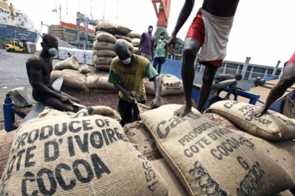 C&ocirc;te d&rsquo;Ivoire-commercialisation du cacao: une am&eacute;lioration substantielle des exportations au niveau des ports de 33%, selon le gouvernement