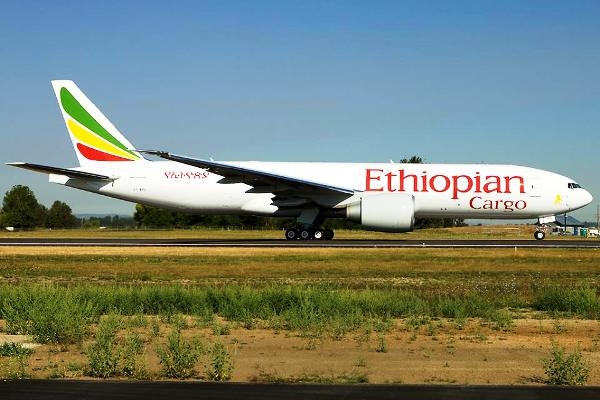 Trafic a&eacute;rien : Ethiopian Airlines annonce l&rsquo;achat de deux Boeing 777 Freighters et dix 737 MAX estim&eacute;s &agrave; 651,4 millions de dollars