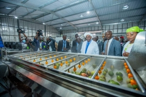 C&ocirc;te d'Ivoire/ Fili&egrave;re mangue: une transformation de mangues destin&eacute;e aux femmes de Sinematiali inaugur&eacute;e