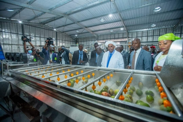 C&ocirc;te d'Ivoire/ Fili&egrave;re mangue: une transformation de mangues destin&eacute;e aux femmes de Sinematiali inaugur&eacute;e