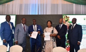 Initiative Cacao : des questions de durabilit&eacute; de la fili&egrave;re au centre d&rsquo;une r&eacute;union du comit&eacute; de pilotage