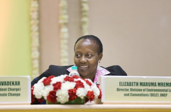 Covid-19 : La COP15 repouss&eacute;e &agrave; nouveau