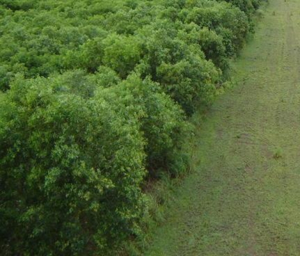 C&ocirc;te d&rsquo;Ivoire :Un op&eacute;ration de d&eacute;limitation des territoires villageois &agrave; Tiassal&eacute;