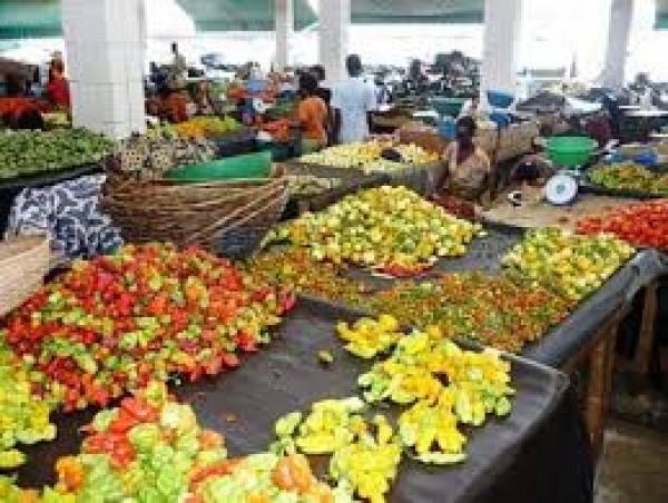 C&ocirc;te d'Ivoire : World Trade and Training business Office envisage des achats bord champ des produits agricoles