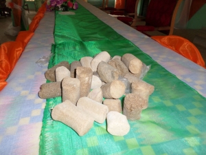 Un &eacute;chantillon de briquettes