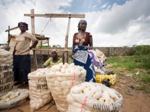 Manque global de progr&egrave;s dans la lutte contre la malnutrition en Afrique (Raport)