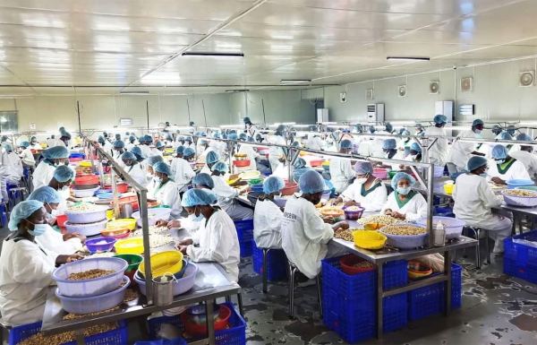 C&ocirc;te d&rsquo;Ivoire/ Emploi des jeunes : 86,72 milliards de fcfa de financement visant 120 000 jeunes