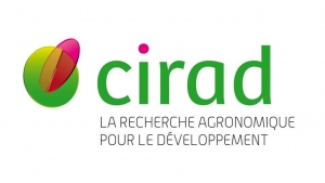 Ghana : Visite du CIRAD pour une collaboration scientifique avec l&rsquo;Universit&eacute; du Ghana