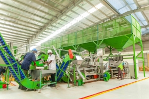 Centre d&rsquo;innovations et de technologies de l&rsquo;anacarde de Yamoussoukro : Un pole pour conforter la place de leader mondial de la C&ocirc;te d&rsquo;Ivoire