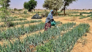 L&rsquo;Afrique p&acirc;tit du changement climatique de mani&egrave;re disproportionn&eacute;e