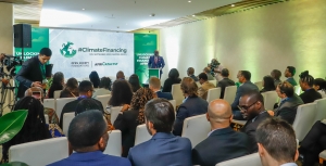 L'Afrique a besoin de plus de 300 milliards de dollars par an pour financer l'action climatique