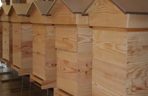 C&ocirc;te d&rsquo;Ivoire-Elevage d'abeilles: Les jeunes de Du&eacute;kou&eacute; s'y mettent