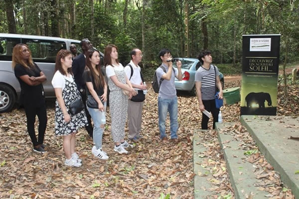 Tourisme &eacute;cologique : Quand le parc du Banco d&rsquo;Abidjan &eacute;merveille une d&eacute;l&eacute;gation cor&eacute;enne