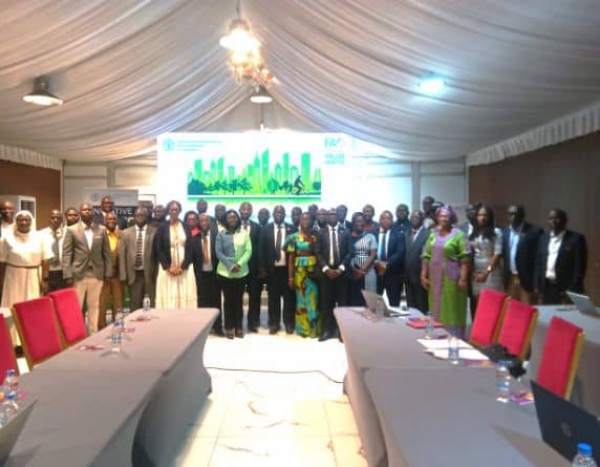 C&ocirc;te d&rsquo;Ivoire/Programme "Ville vertes : la FAO et les points focaux r&eacute;fl&eacute;chissent sur la validation des r&eacute;sultats &agrave; Abidjan