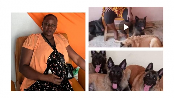 Lisa Kouadio :  la femme qui parle aux chiens d&eacute;voile les secrets de son m&eacute;tier