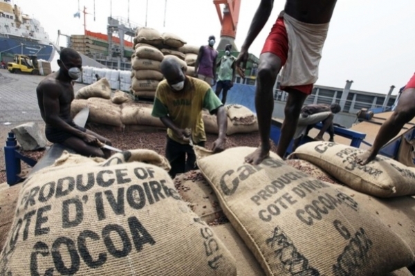 M&eacute;vente du cacao, la situation se normalise selon le gouvernement ivoirien