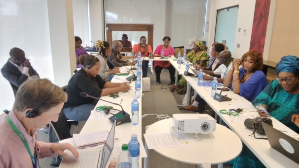 Transition &eacute;nerg&eacute;tique :  des acteurs de la soci&eacute;t&eacute; civile africaine d&eacute;plorent plusieurs projets financ&eacute;s par la BAD