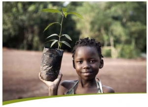 La BAD pr&eacute;conise une bonne gestion des ressources naturelles pour contrer la fragilit&eacute;