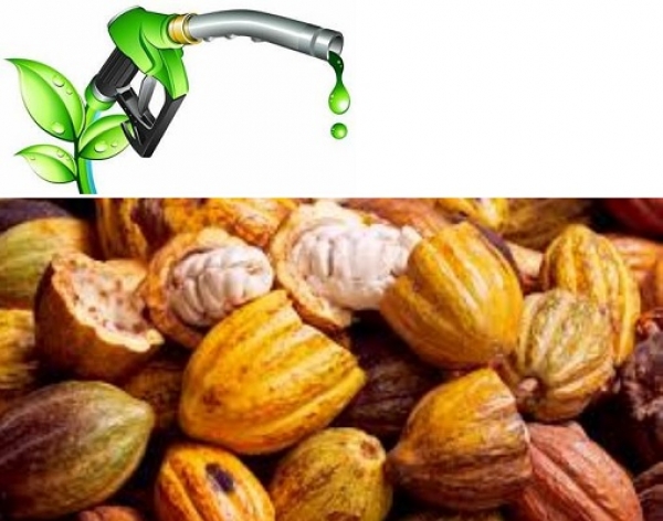 La C&ocirc;te d&rsquo;Ivoire va transformer les r&eacute;sidus cacao en biocarburant