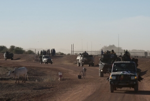 Niger : Des dizaines de terroristes tu&eacute;s