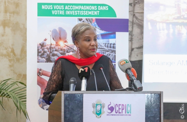 C&ocirc;te d'Ivoire/ Bilan de l&rsquo;exercice 2022 du CEPICI : 20 183 Entreprises Cr&eacute;&eacute;s