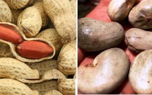 C&ocirc;te d&rsquo;Ivoire : Une usine de d&eacute;corticage d&rsquo;arachide et d&rsquo;anacarde en constructuion &agrave; Katiola