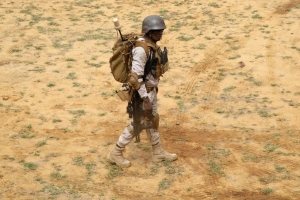 L&rsquo;Allemagne veut maintenir sa pr&eacute;sence au Sahel